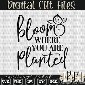 Bloom Where You Are Planted Svg Design